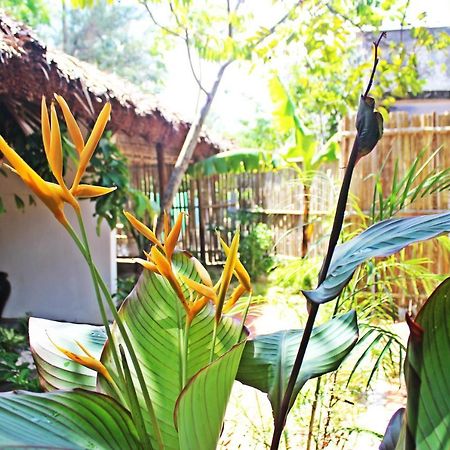 An Bang Purple Homestay Hoi An Esterno foto