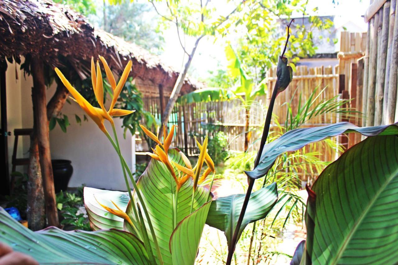 An Bang Purple Homestay Hoi An Esterno foto