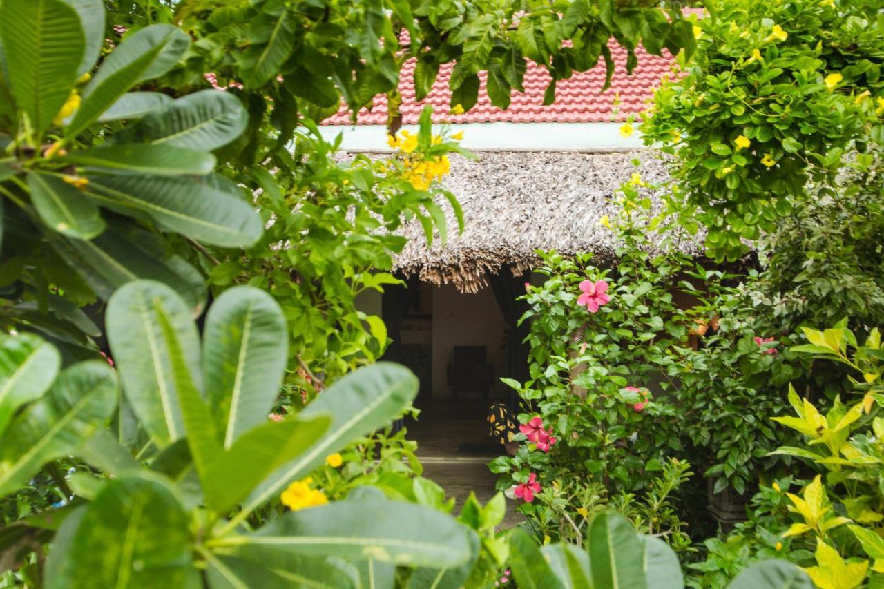 An Bang Purple Homestay Hoi An Esterno foto